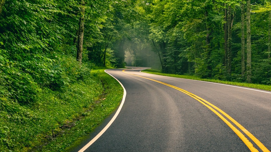 Vinhomes Green City Long An — new road infrastructure