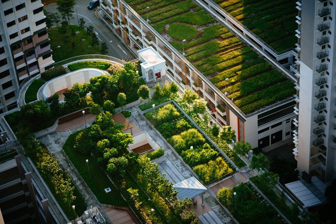 Vinhomes Saigon Park Hóc Môn — urban park green city aerial