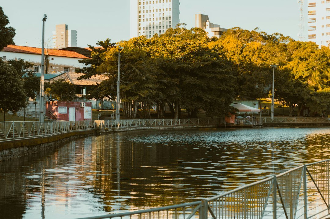 Vinhomes Saigon Park Hóc Môn — công viên, vườn nhà kính